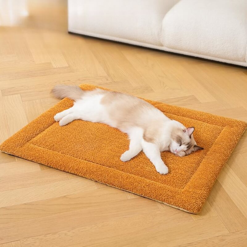 Tapis pour animaux de compagnie en peluche antidérapant et chaud et confortable