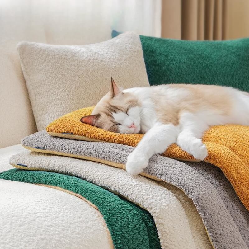 Tapis pour animaux de compagnie en peluche antidérapant et chaud et confortable