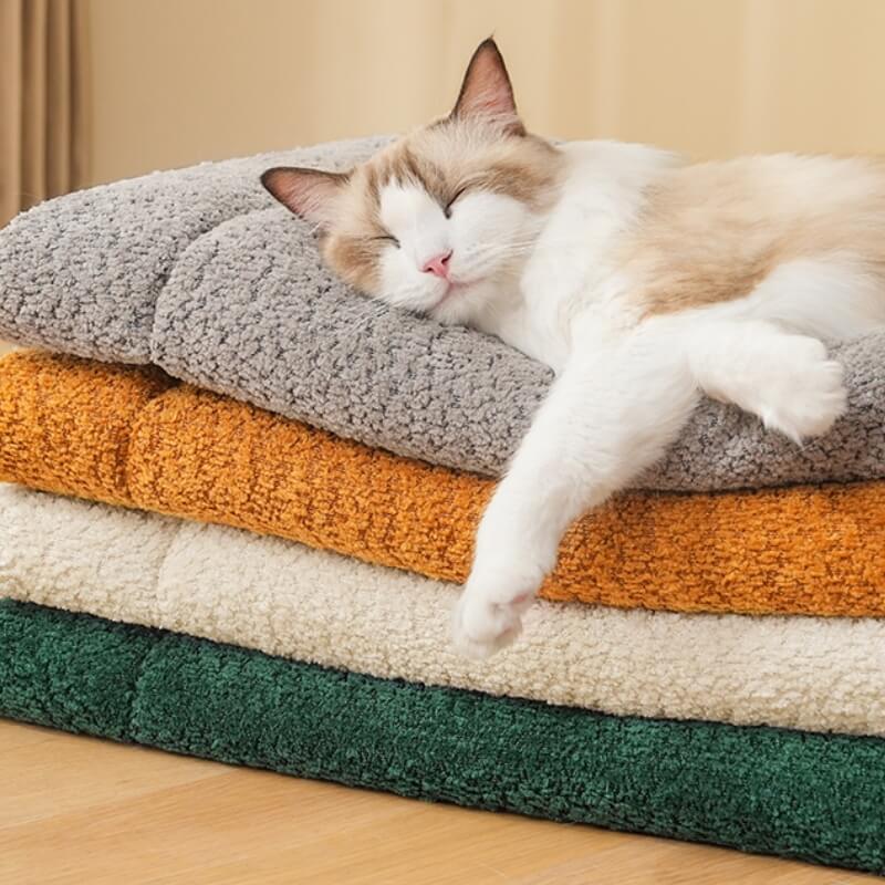 Tapis pour animaux de compagnie en peluche antidérapant et chaud et confortable