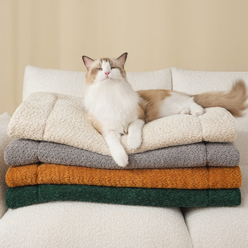 Tapis pour animaux de compagnie en peluche antidérapant et chaud et confortable