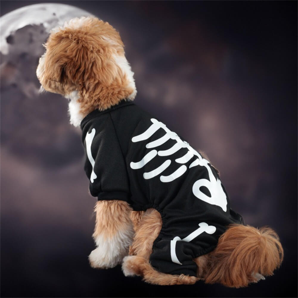 Glow-in-the-Dark Skeleton Dog Costume – Perfect for Halloween Night