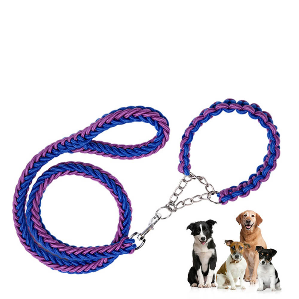 Explosion-Proof Nylon Braided Dog Leash and Collar