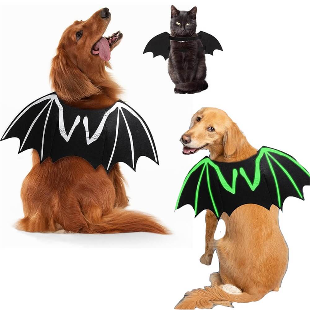 Costume d'Halloween pour chien avec ailes de chauve-souris et crâne lumineux | Accessoires de jeu de rôle pour animaux de compagnie