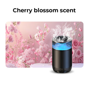 Spray Car Viewing Aromatherapy Diffuser