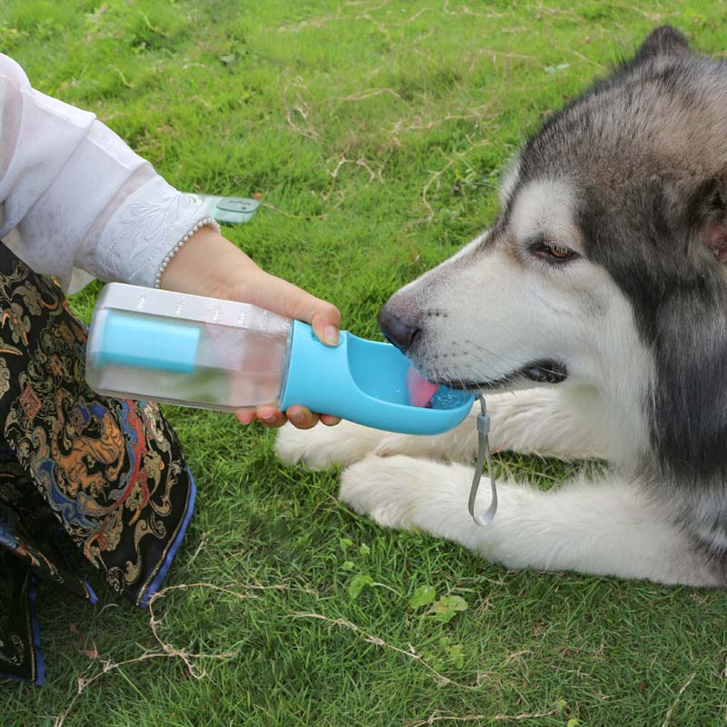 Bouteille d'eau portable multifonctionnelle 3 en 1 pour promener un chien