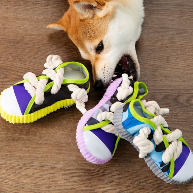 Jouet de dentition pour chien, chausson en corde de coton