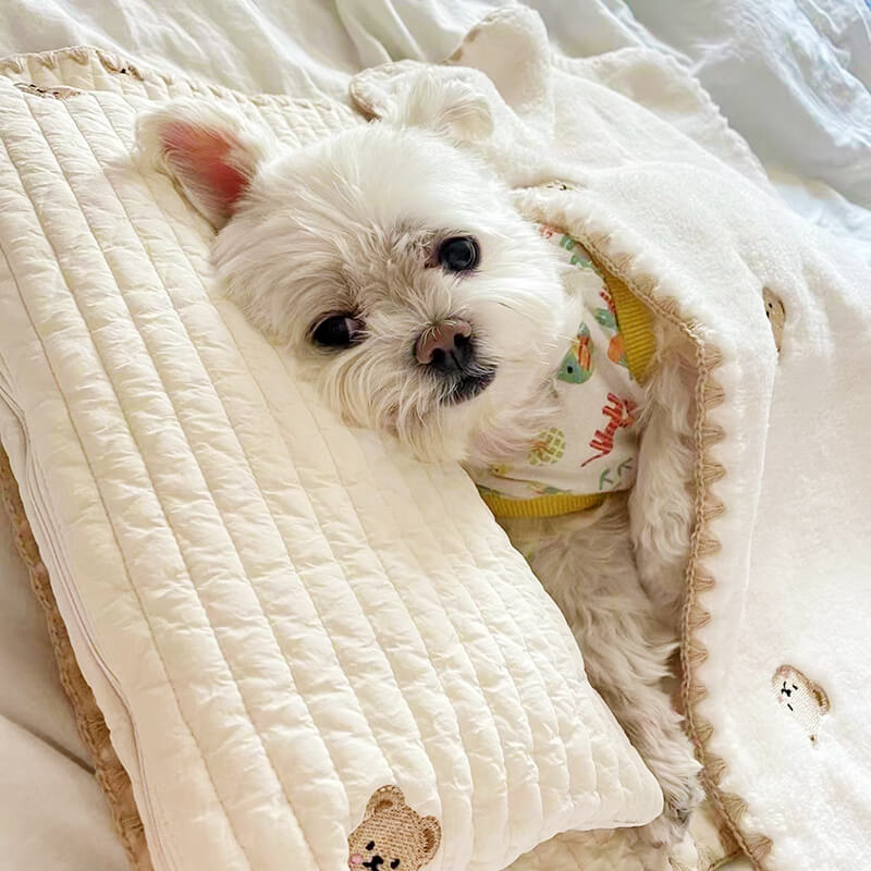 Conjunto de cama aconchegante com travesseiro de algodão bordado para animais de estimação