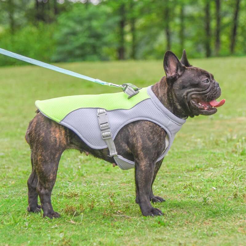 Colete respirável para prevenção de insolação Colete de resfriamento para cães embebido em água