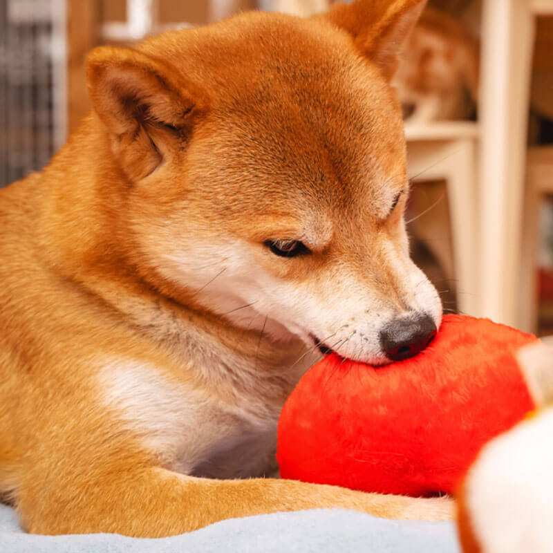 Lustiges, quietschendes Plüsch-Hundespielzeug – Hintern