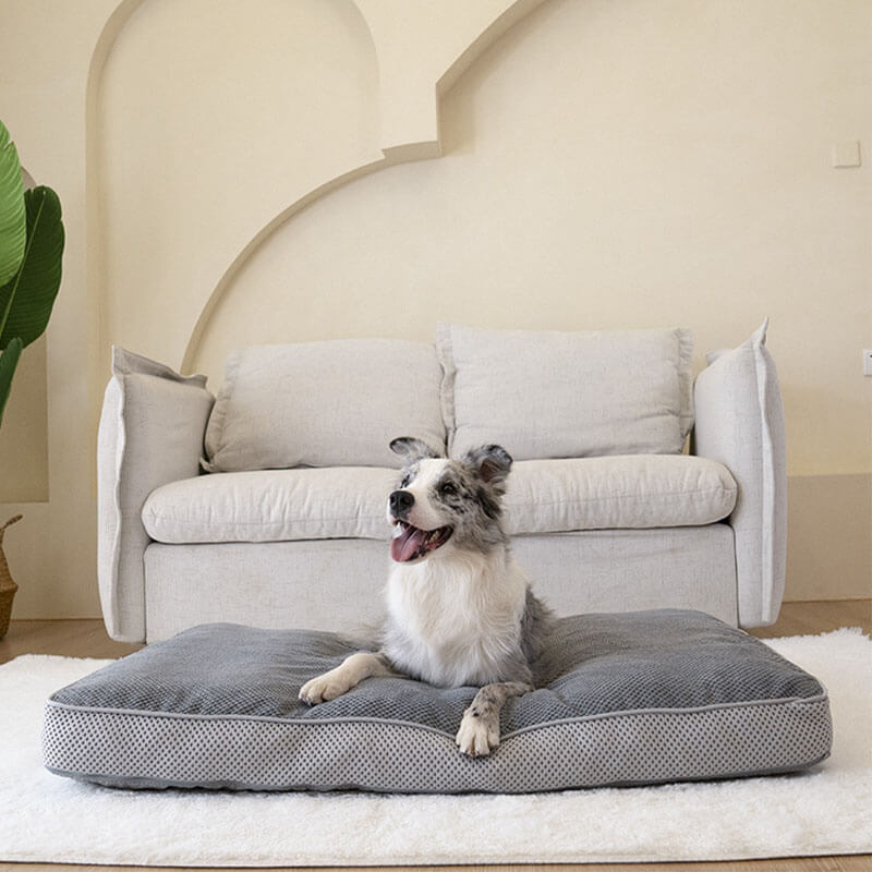 Grand tapis de couchage gris respirant pour animaux de compagnie, coussin amovible pour chien