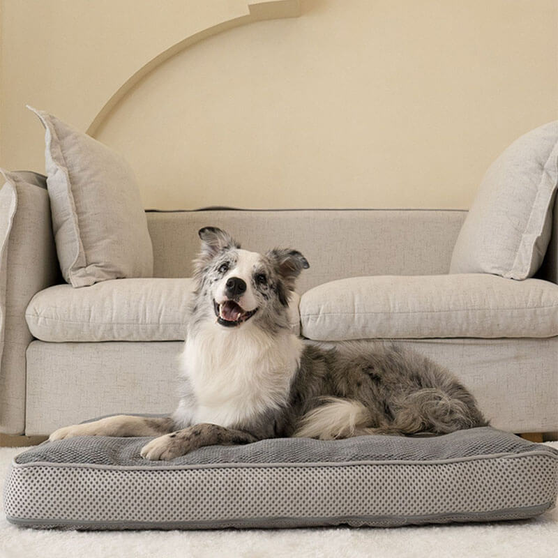 Grand tapis de couchage gris respirant pour animaux de compagnie, coussin amovible pour chien