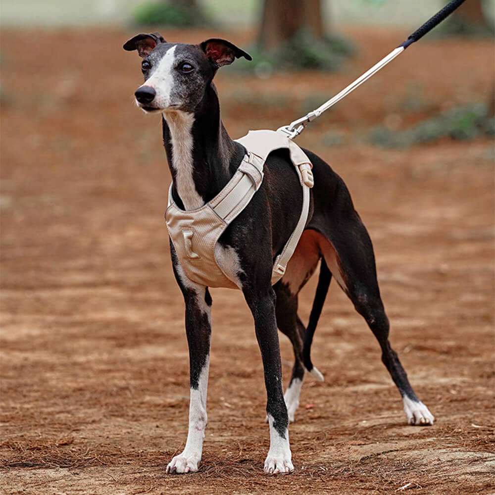 Harnais pour chien Anti-traction léger, imperméable et respirant et laisse multifonctionnelle