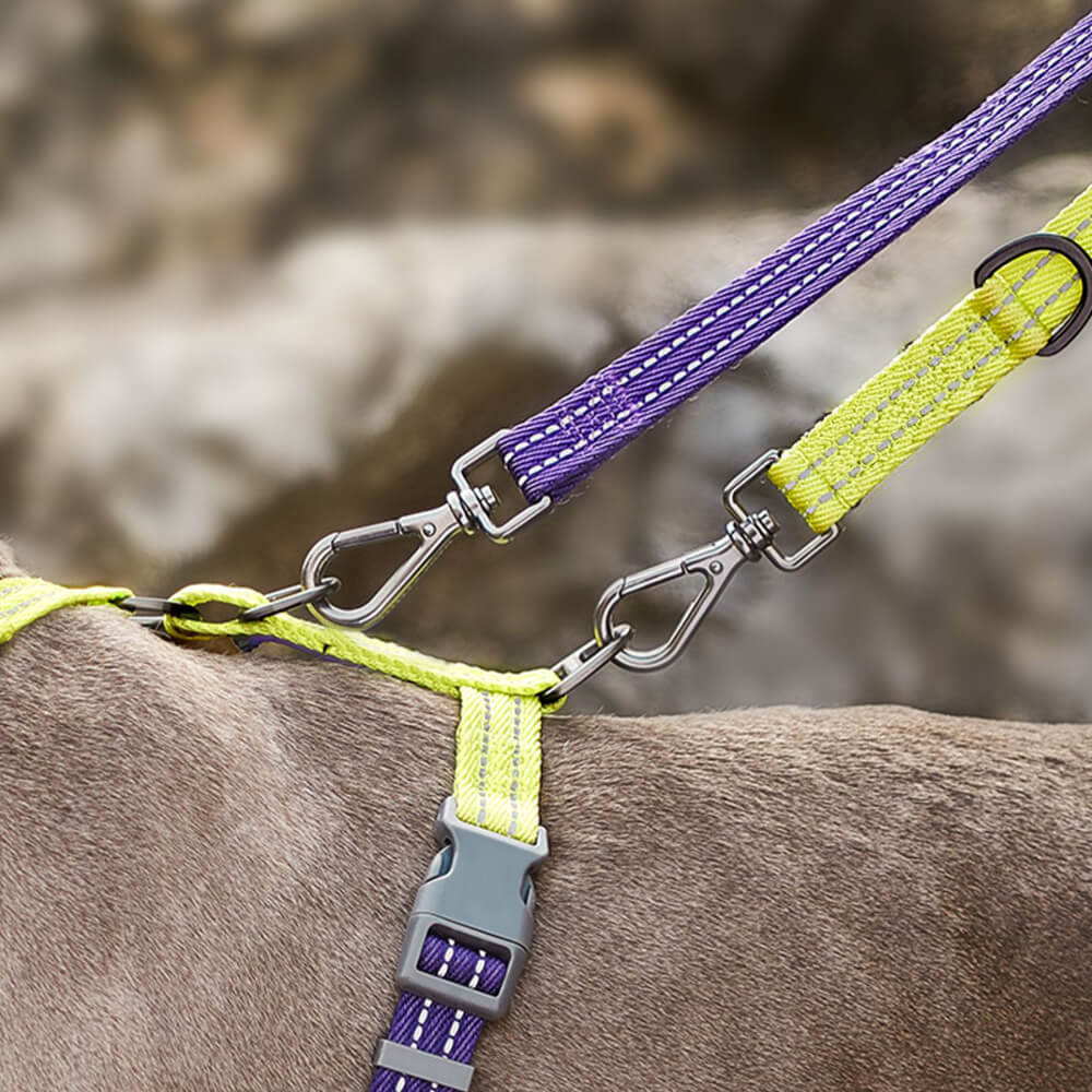 Arnés de equilibrio reflectante con cuello y hebilla Arnés para perros sin tirones