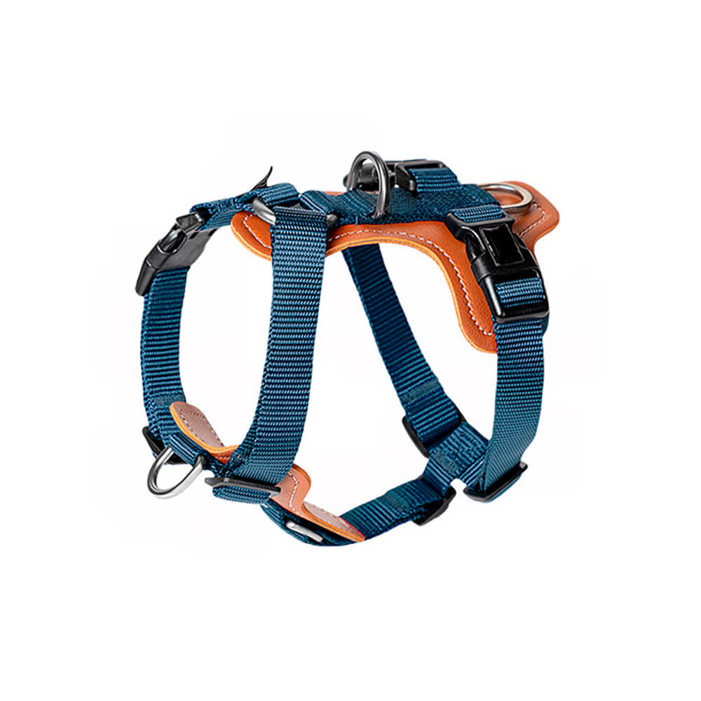 Harnais de marche anti-traction mains libres multifonctionnel pour chien