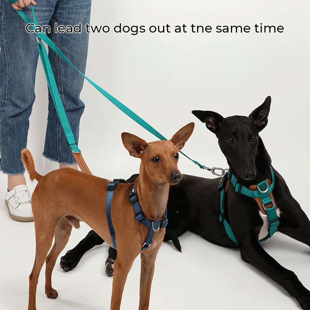 Multifunctional Hands-Free Anti-Pull Dog Walking Harness