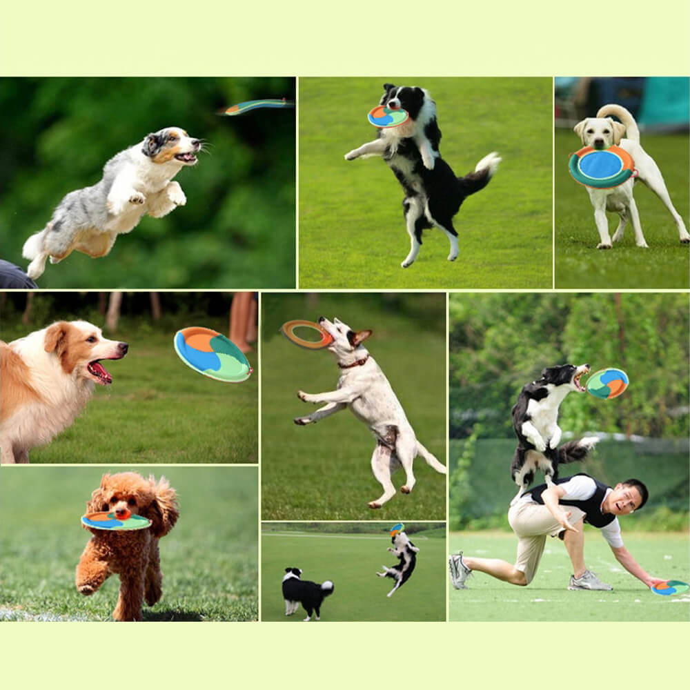 Interaktives Hundespielzeug für den Außenbereich, langlebiges Oxford-Stoff-Hundefrisbee