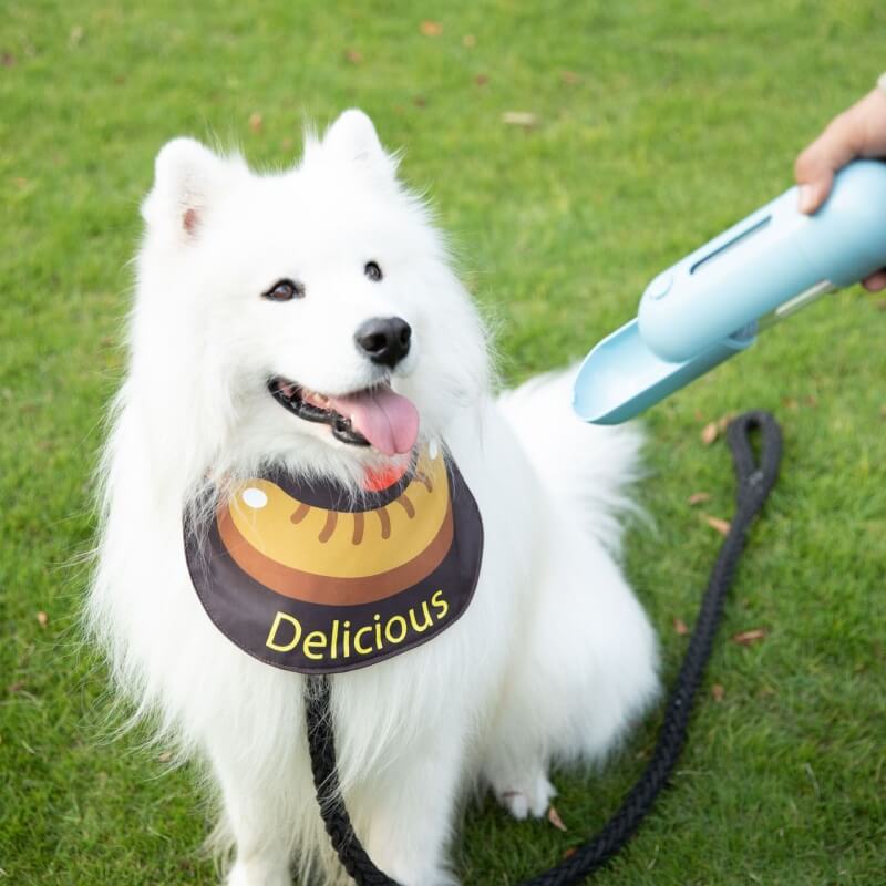 Pañuelo para mascotas, impermeable, accesorios para perros geniales, babero para baba, salchicha