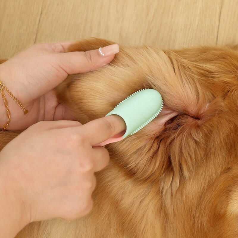 Escova de dentes para animais de estimação, escova de dentes para limpeza dos dentes