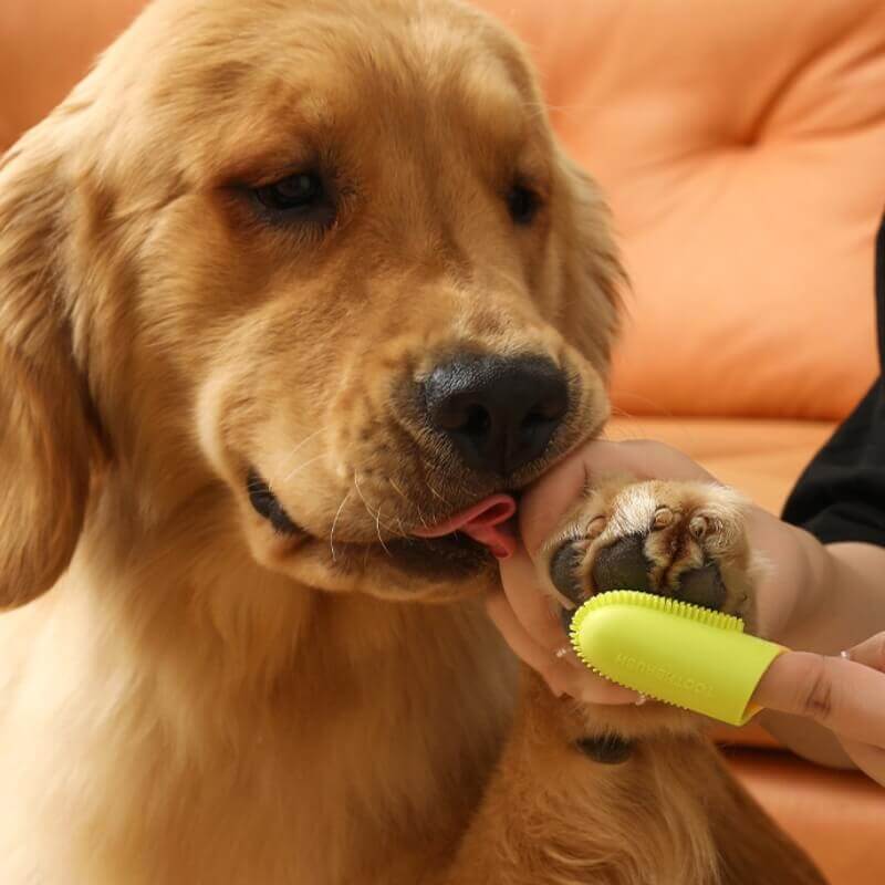 Cepillo de dientes para mascotas Cepillo de dientes para limpieza de dientes