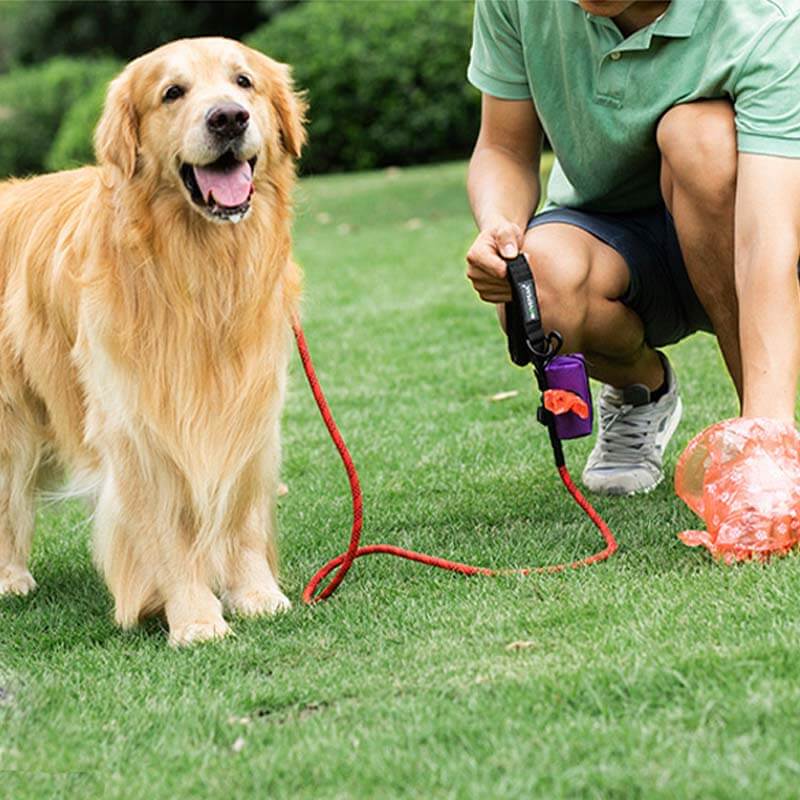 Saco portátil para caminhada de cães em tecido Oxford dispensador de sacos para resíduos de cães