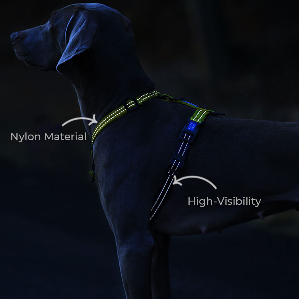 Arnés de equilibrio reflectante con cuello y hebilla Arnés para perros sin tirones