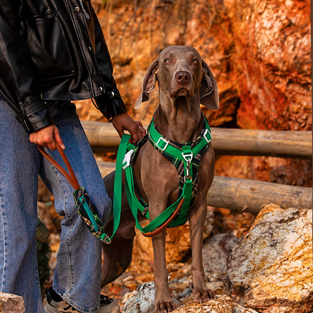 Ensemble de marche avec harnais et laisse pour grand chien, anti-traction sécurisé, avec sac de promenade