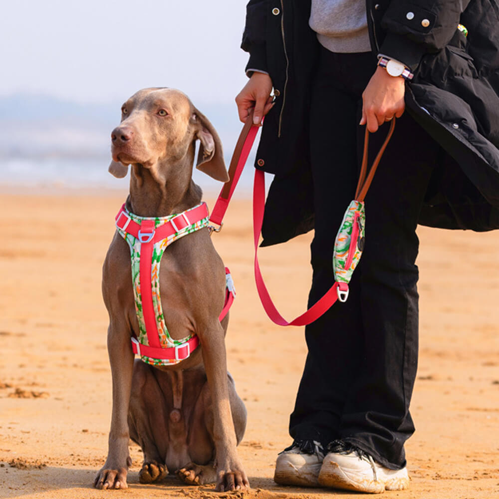 Juego seguro para caminar con arnés y correa para perros grandes, antitirones, con bolsa para caminar