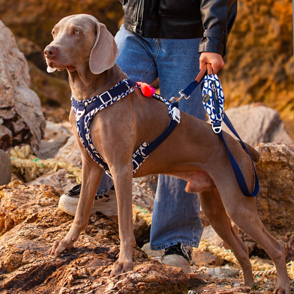 Juego seguro para caminar con arnés y correa para perros grandes, antitirones, con bolsa para caminar