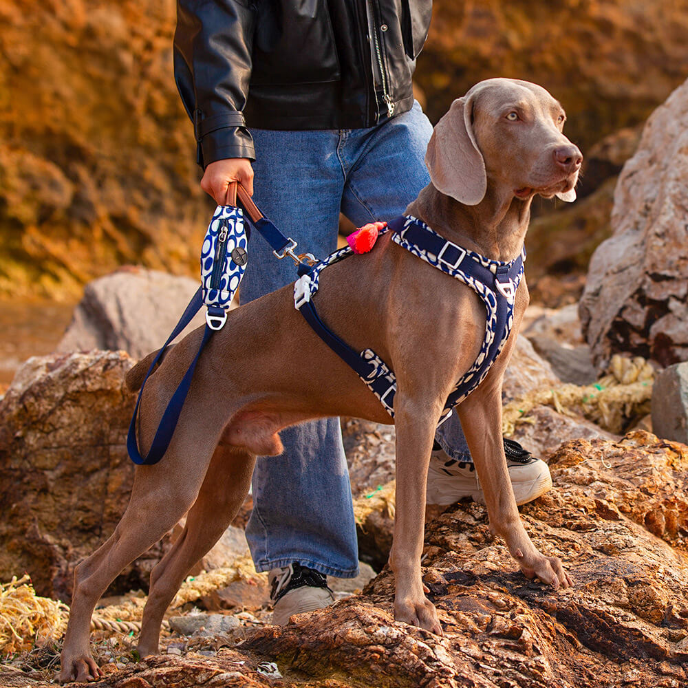 Juego seguro para caminar con arnés y correa para perros grandes, antitirones, con bolsa para caminar