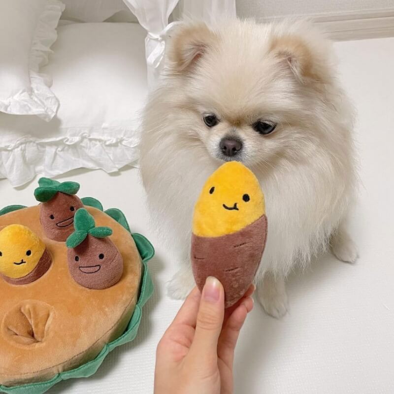 Ensemble de jouets puzzle interactif pour chien à tirer et renifler à la patate douce