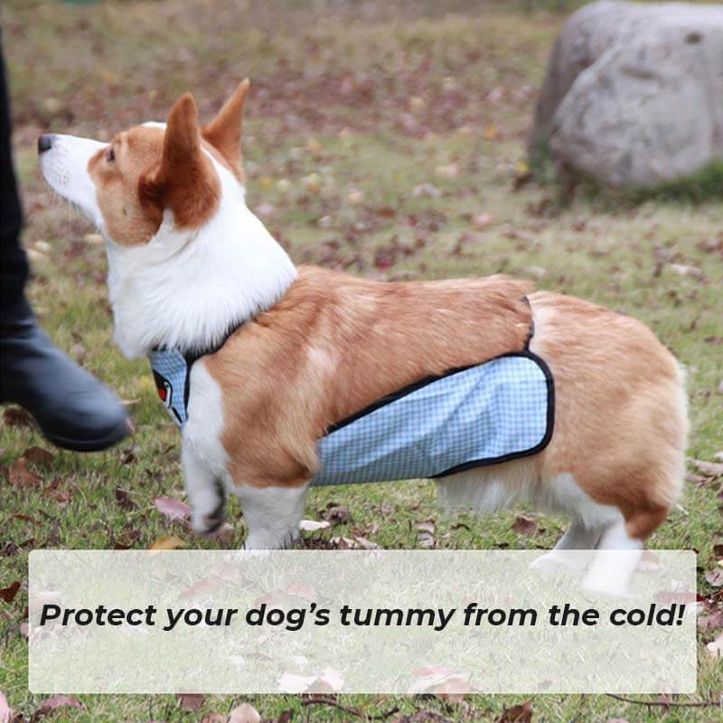 Bavoir imperméable à carreaux pour animaux de compagnie, couverture de ventre de chien