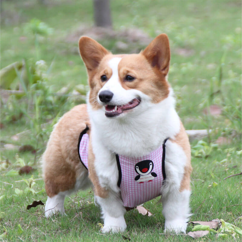 Bavoir imperméable à carreaux pour animaux de compagnie, couverture de ventre de chien