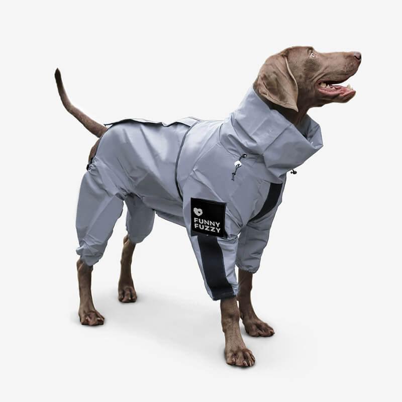 Manteau de pluie réfléchissant imperméable et imperméable pour tous les temps, accessoires pour chiens