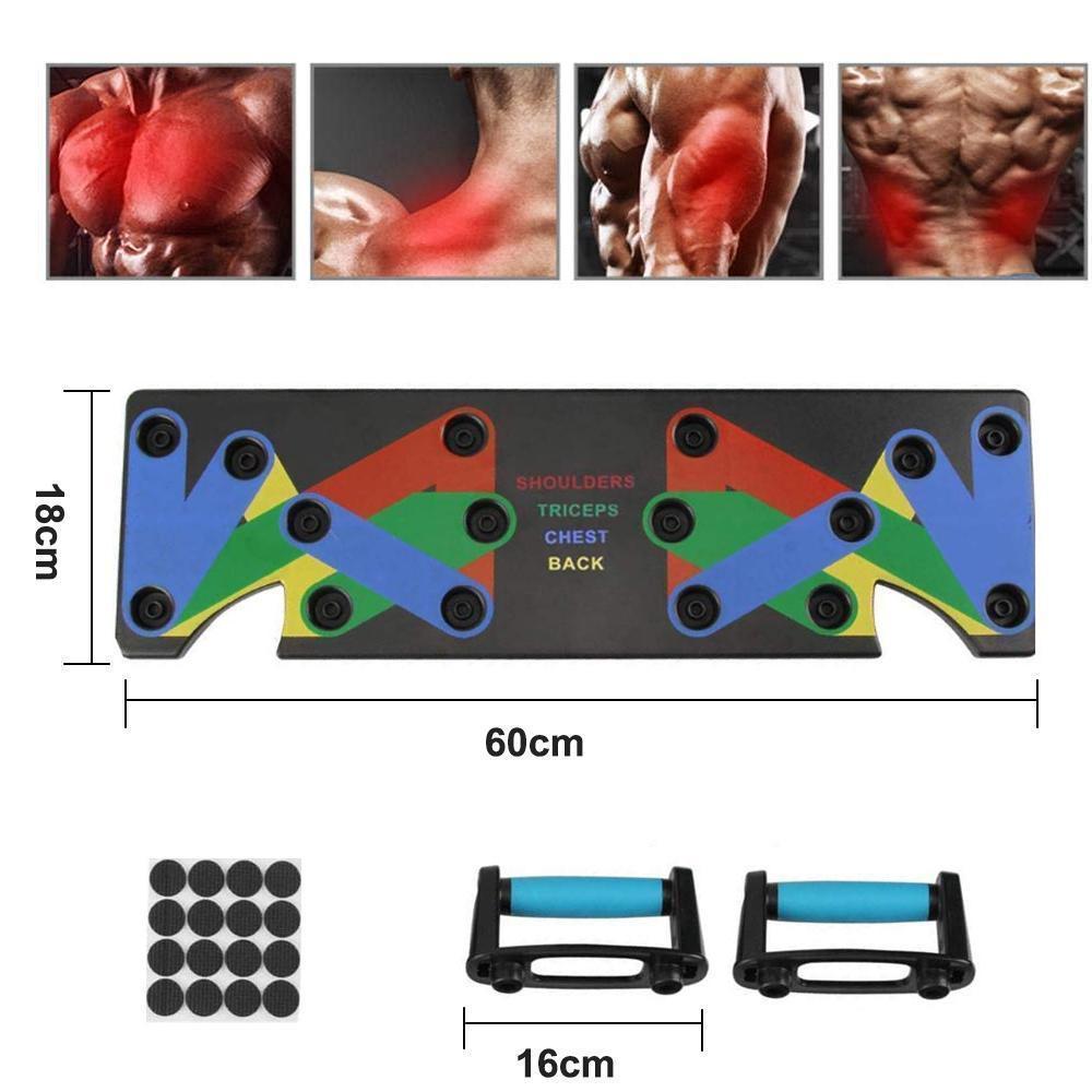 Coded Push Up Muscle Board