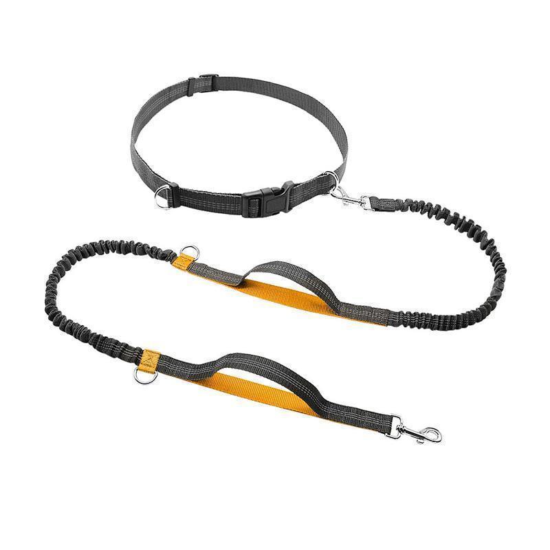 Handsfree Elastic Bungee Dog Leash