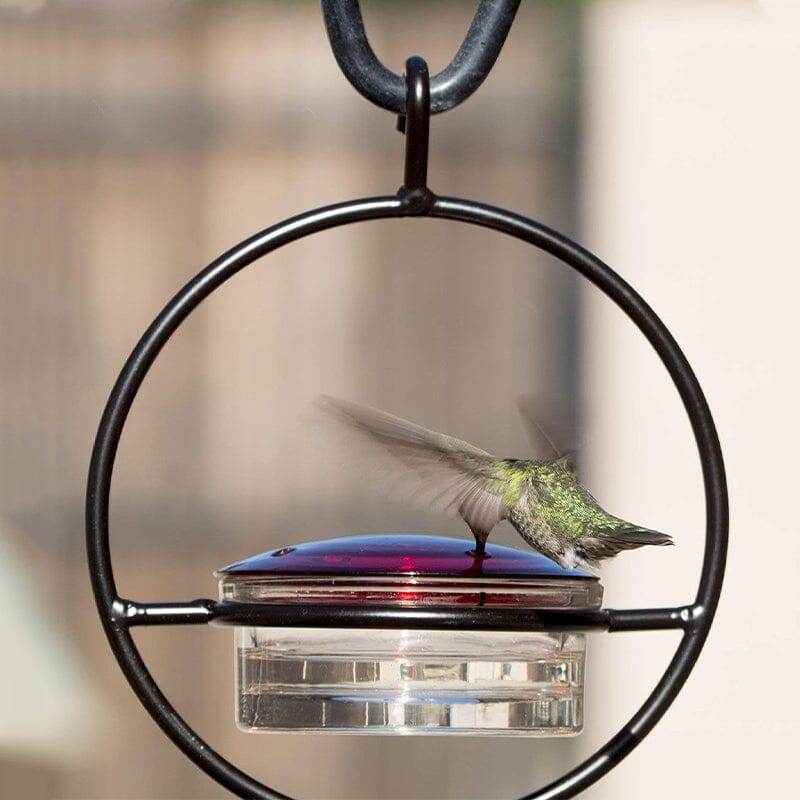 Hummble Slim Hummingbird Feeder