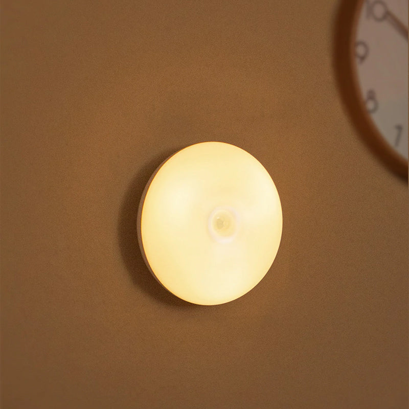 Intelligent human induction LED night light