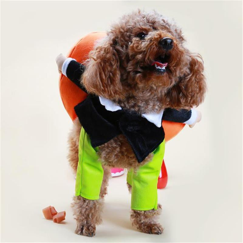 Pet Dog Pumpkin Halloween Costume