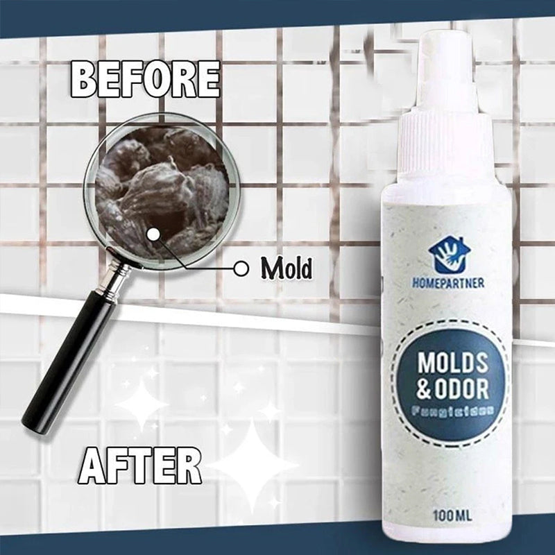 Mold Remover Spray