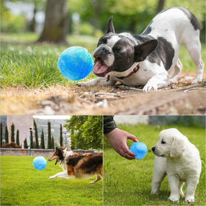 Hirundo® Magic Ball for Dogs