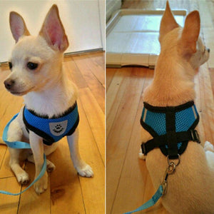 Cat Harness And Leash For Adventure