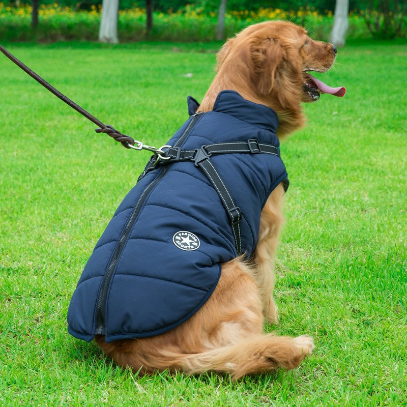 Winter Zipper Coat for Dogs