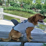 Dog Swimming Safe Jacket