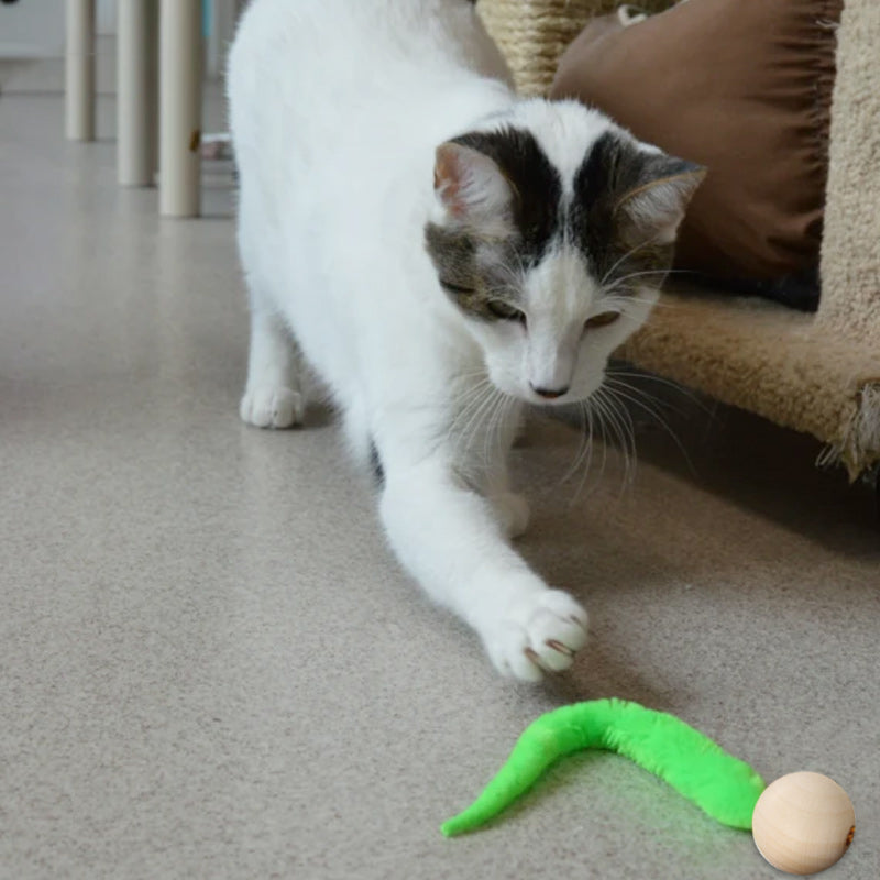 Wiggly Cat Toys with Bells