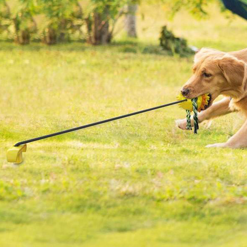 Outdoor Pet Rope Ball