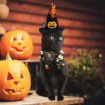 Halloween Cosplay Pet Hat and Scarf