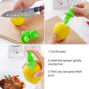 Manual Fruit Juice Sprayer (2 PCs)