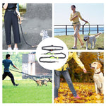 Handsfree Elastic Bungee Dog Leash