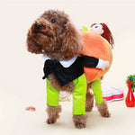 Pet Dog Pumpkin Halloween Costume