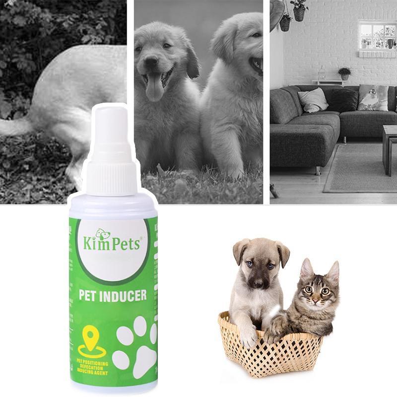 Pet Toilet Training Aid